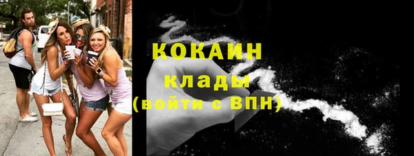 гидра Аркадак