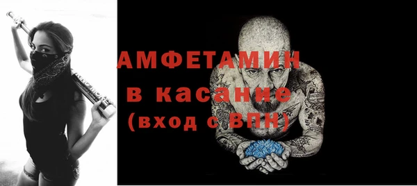 гидра Аркадак