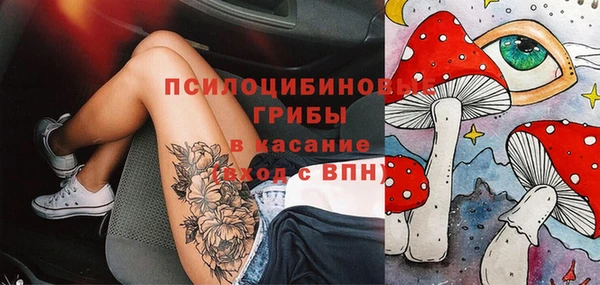герыч Арсеньев