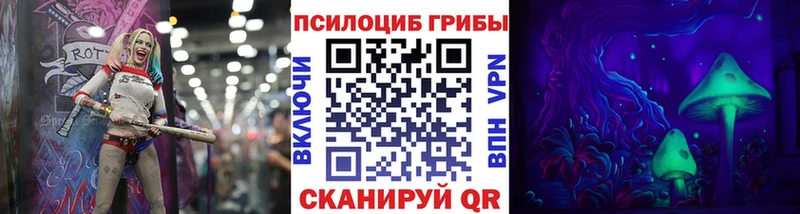 наркошоп  Хилок  дарк нет формула  Псилоцибиновые грибы MAGIC MUSHROOMS 